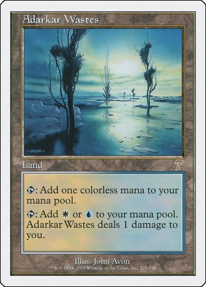 Image for Adarkar Wastes (325) - Magic: The Gathering