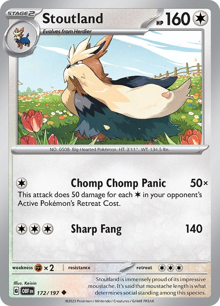 Image for Stoutland (172/197) - Pokemon