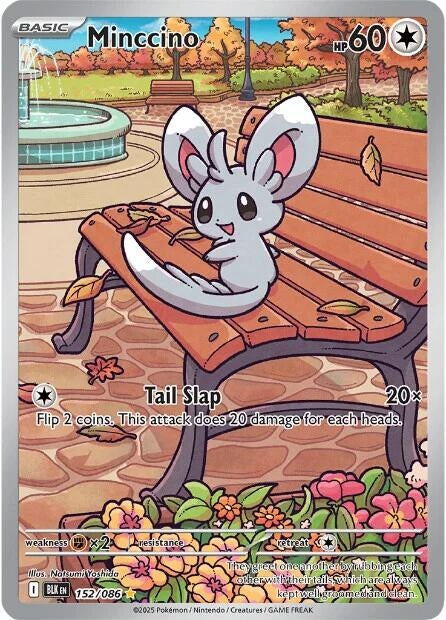 Image for Minccino (152/086) - Pokemon