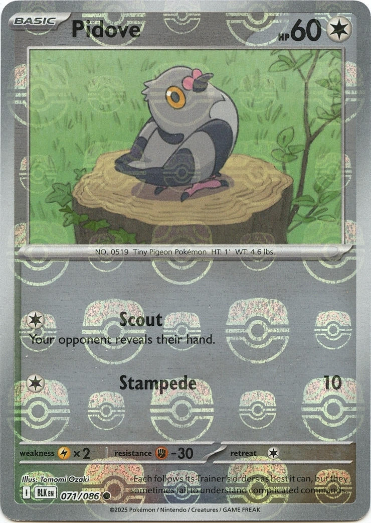 Image for Pidove (Master Ball Pattern) (071/086) - Pokemon