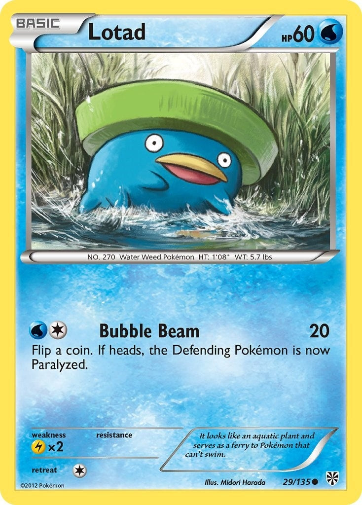 Image for Lotad (29/135) - Pokemon