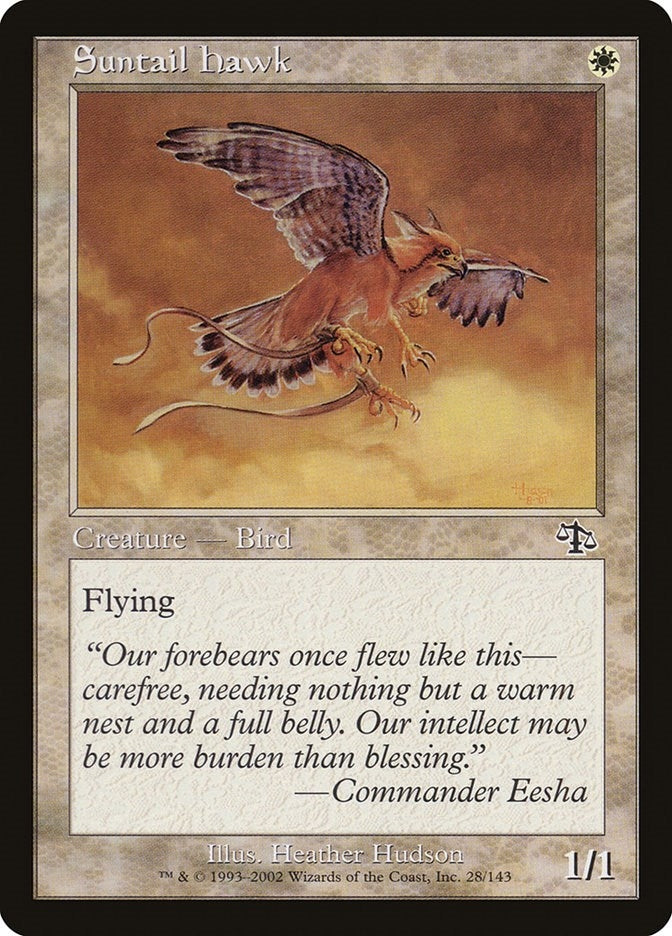 Image for Suntail Hawk (28) - Magic: The Gathering