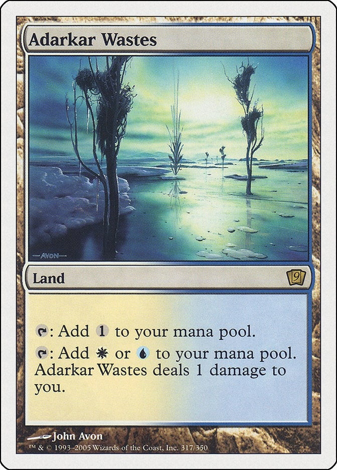 Image for Adarkar Wastes (317) - Magic: The Gathering