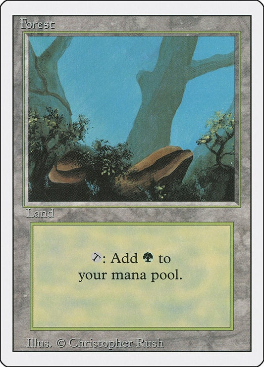 Image for Forest (A) (284) - Magic: The Gathering