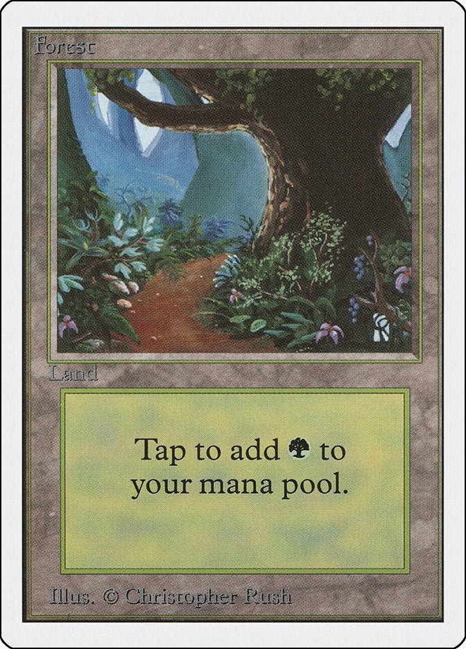 Image for Forest (B) - Magic: The Gathering