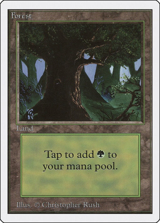 Image for Forest (C) - Magic: The Gathering