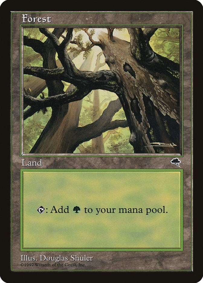 Image for Forest (Skyward) (347) - Magic: The Gathering