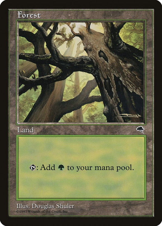 Image for Forest (Skyward) (347) - Magic: The Gathering