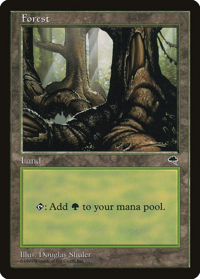 Image for Forest (Pond) (348) - Magic: The Gathering