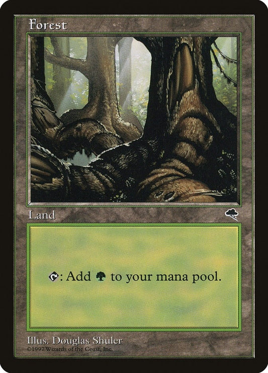 Image for Forest (Pond) (348) - Magic: The Gathering