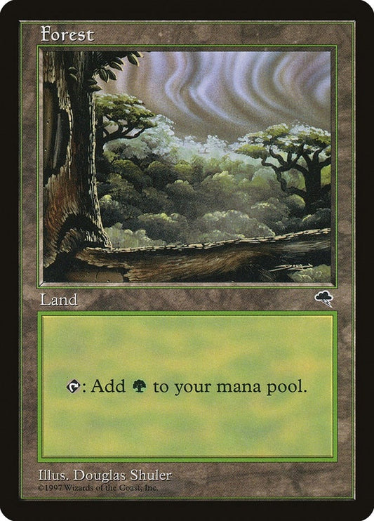 Image for Forest (Cloudy) (349) - Magic: The Gathering