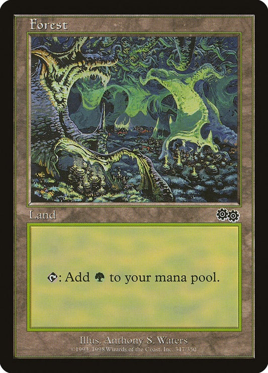 Image for Forest (347) (347) - Magic: The Gathering