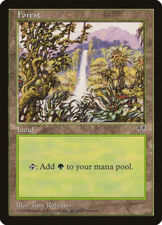 Image for Forest (Waterfall) - Magic: The Gathering