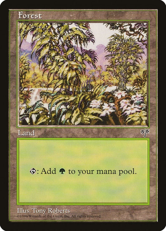 Image for Forest (White Flowers Right) - Magic: The Gathering
