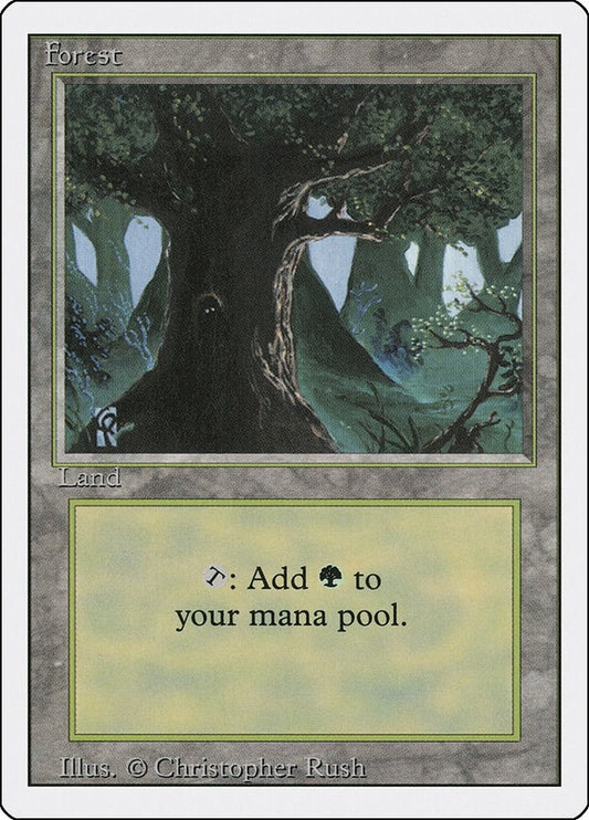 Image for Forest (C) (285) - Magic: The Gathering