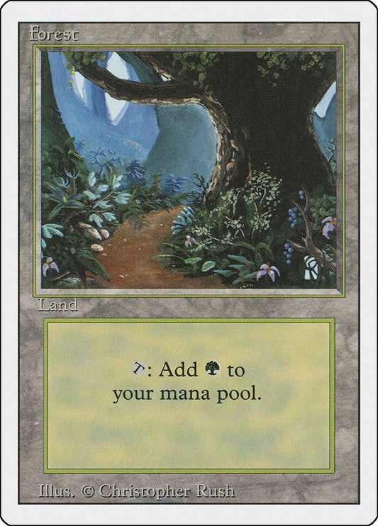 Image for Forest (B) (286) - Magic: The Gathering