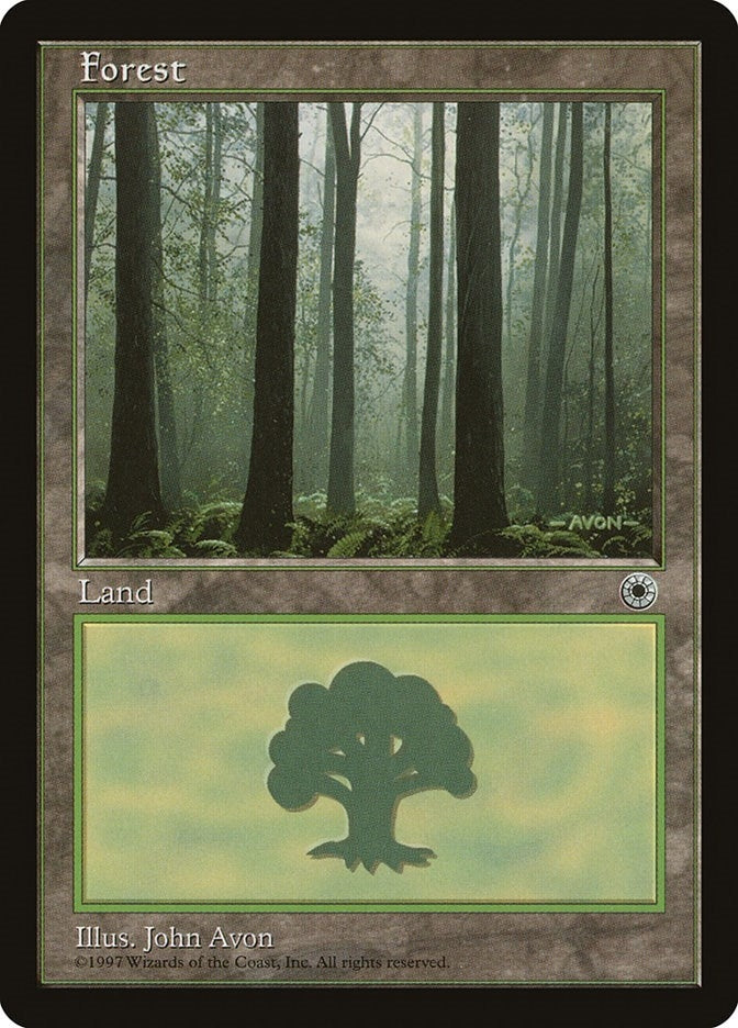 Image for Forest (Ferns on Ground) - Magic: The Gathering