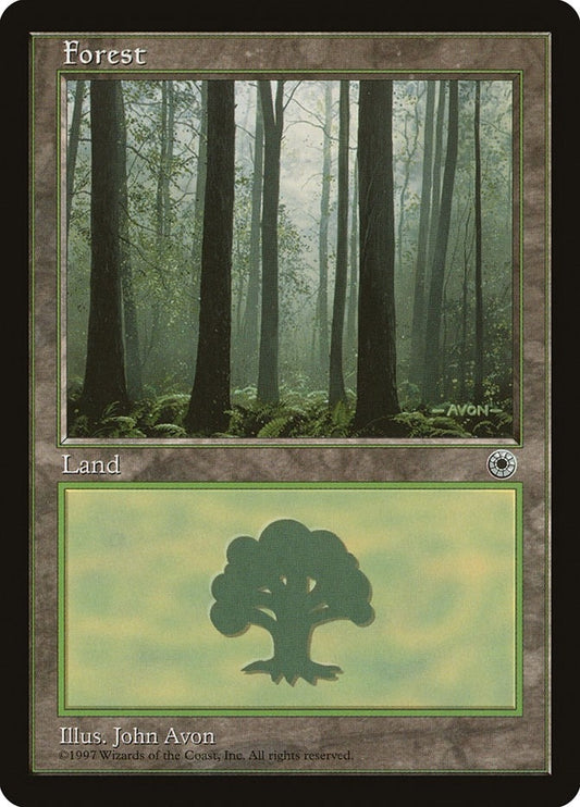 Image for Forest (Ferns on Ground) - Magic: The Gathering