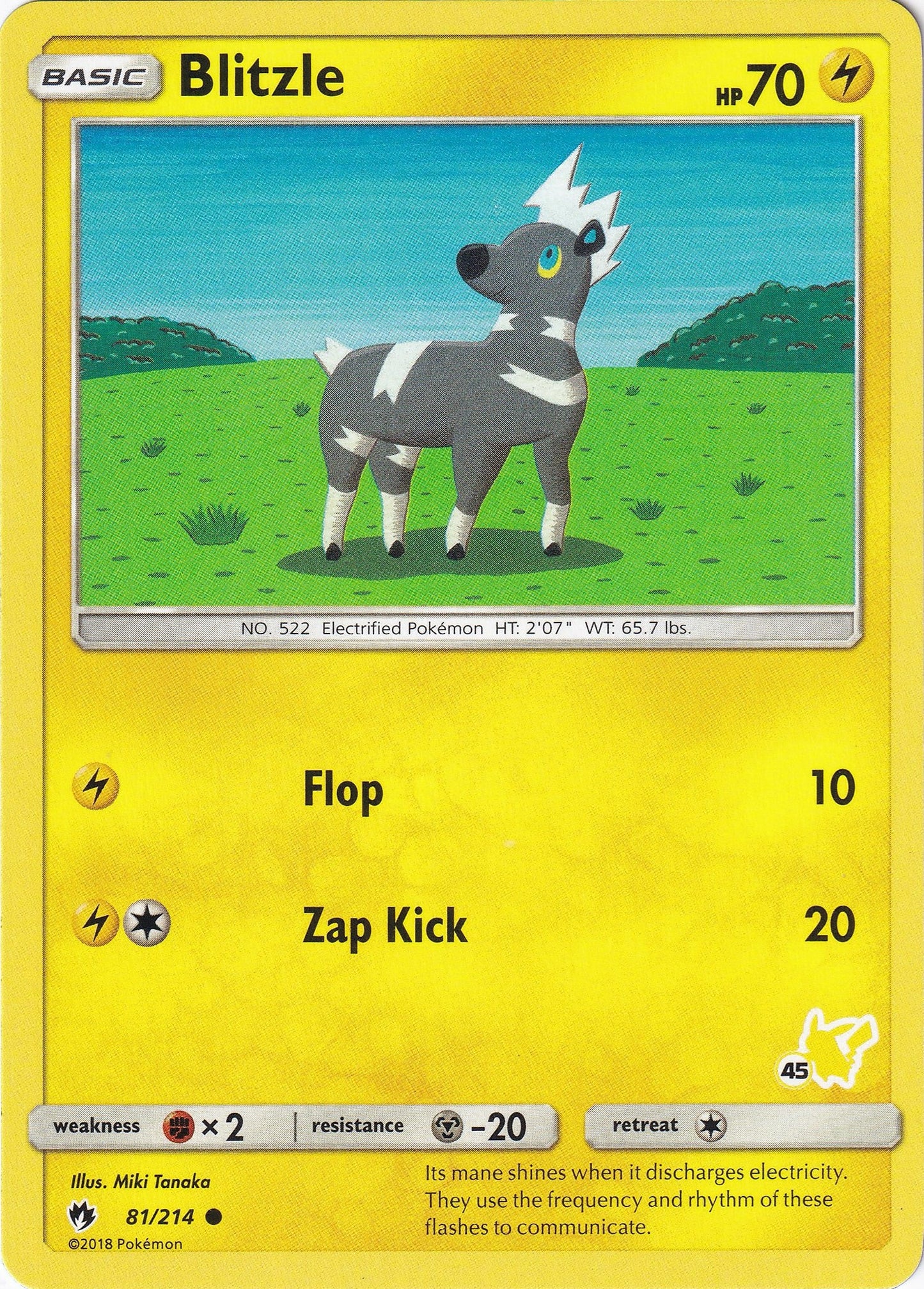 Image for Blitzle - 81/214 (#45 Pikachu Stamped) (081/214) - Pokemon