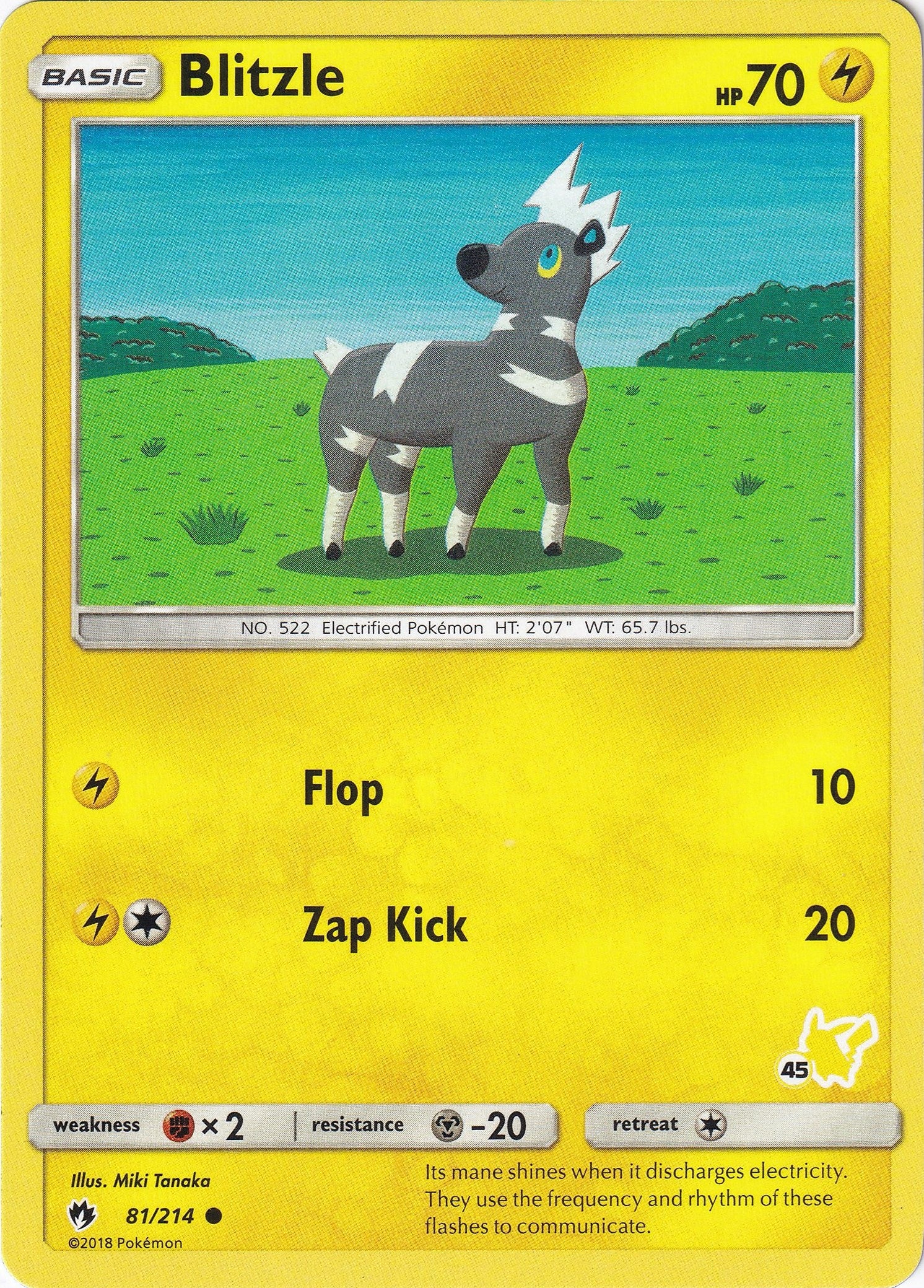 Image for Blitzle - 81/214 (#45 Pikachu Stamped) (081/214) - Pokemon