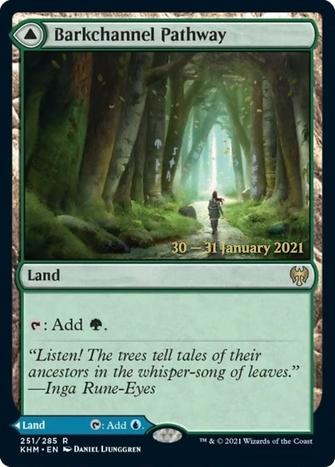 Image for Barkchannel Pathway (251) - Magic: The Gathering