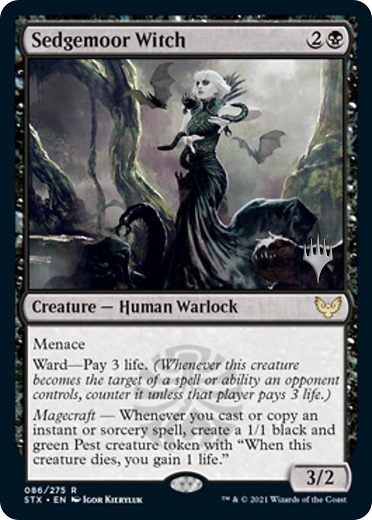 Sedgemoor Witch (86)