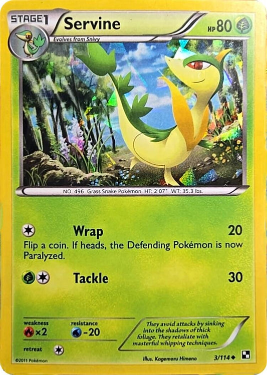 Image for Servine - 3/114 (Cracked Ice Holo) (003/114) - Pokemon