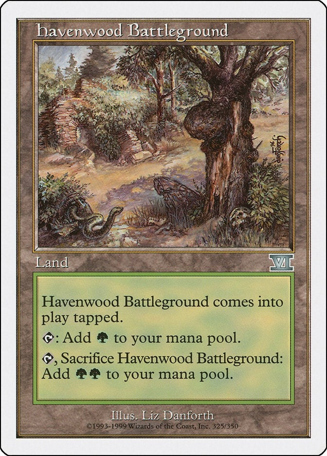 Image for Havenwood Battleground (325) - Magic: The Gathering