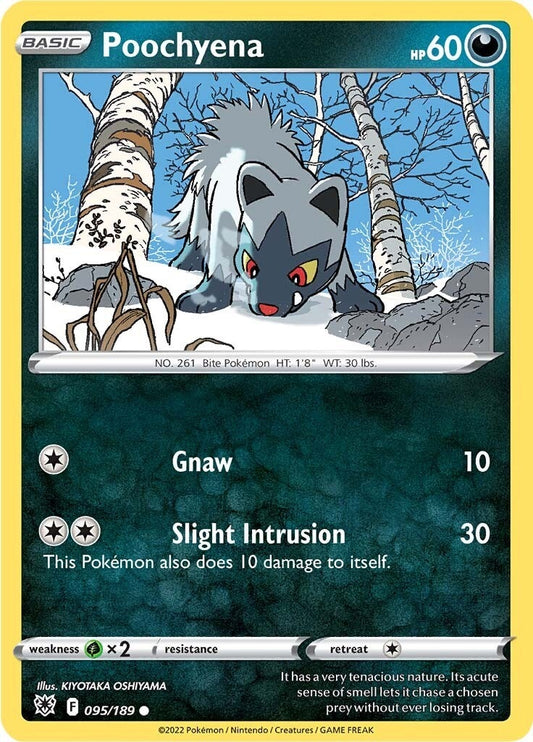 Image for Poochyena (095/189) - Pokemon