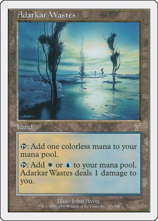 Image for Adarkar Wastes (325) - Magic: The Gathering