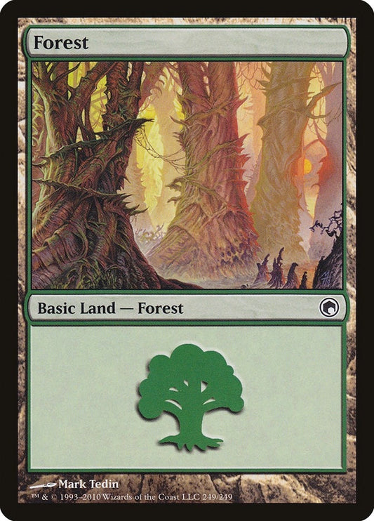 Image for Forest (249) (249) - Magic: The Gathering