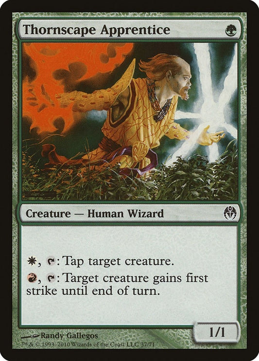 Image for Thornscape Apprentice (37) - Magic: The Gathering