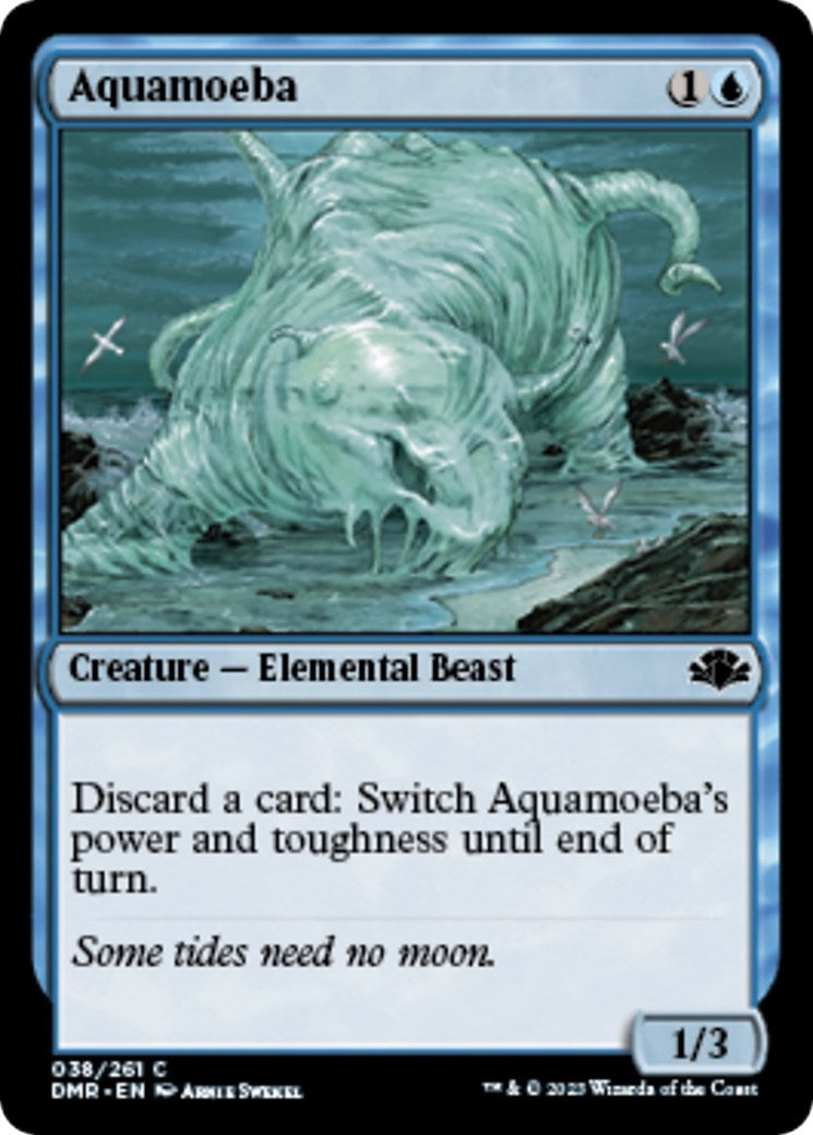 Aquamoeba (38)