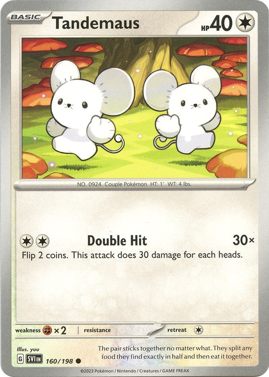 Image for Tandemaus (160/198) - Pokemon