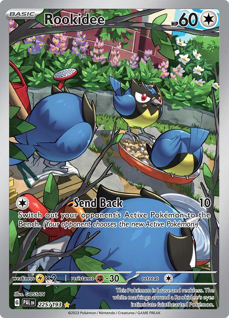 Image for Rookidee (225/193) - Pokemon