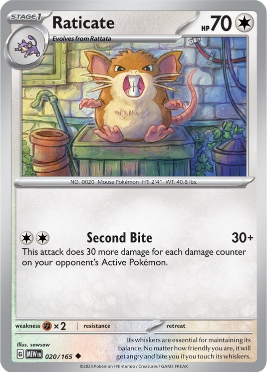 Image for Raticate (020/165) - Pokemon