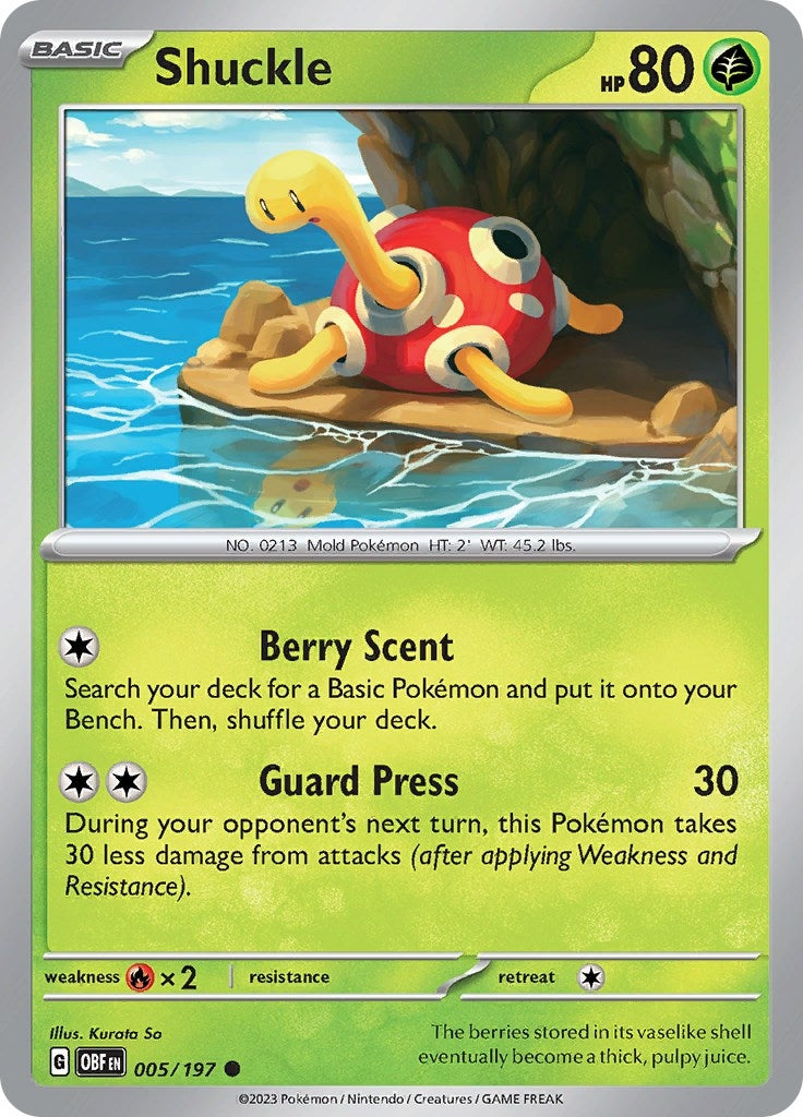 Image for Shuckle (005/197) - Pokemon
