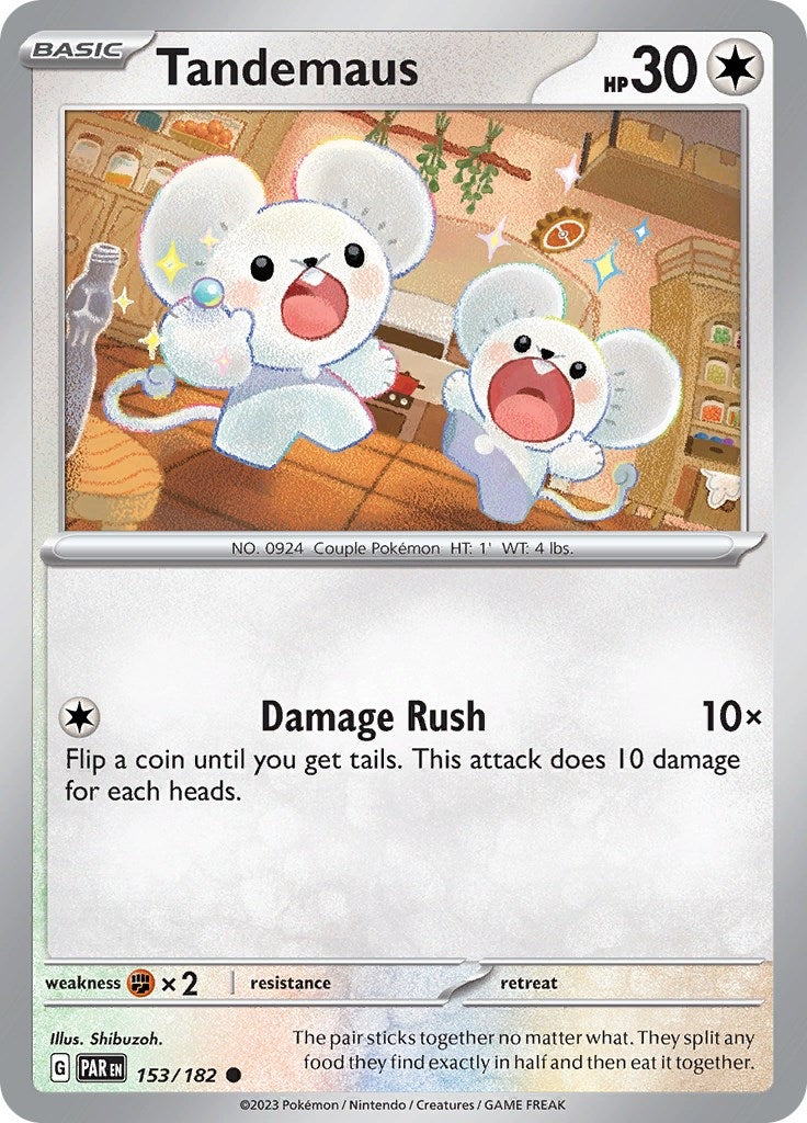 Image for Tandemaus (153/182) - Pokemon