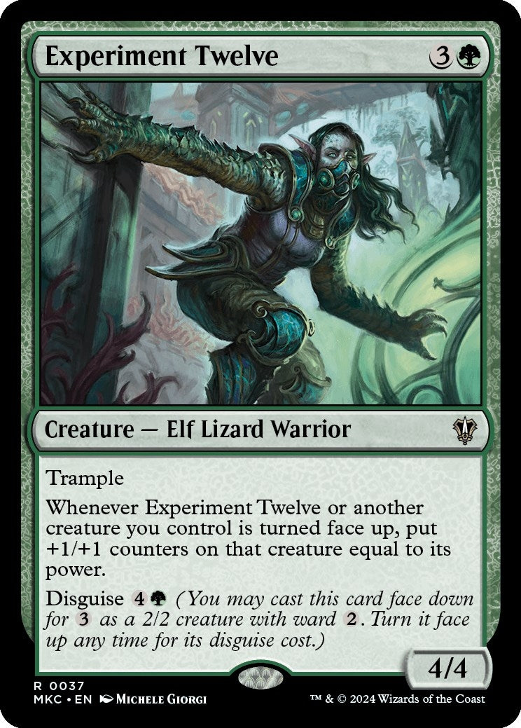 Image for Experiment Twelve (37) - Magic: The Gathering
