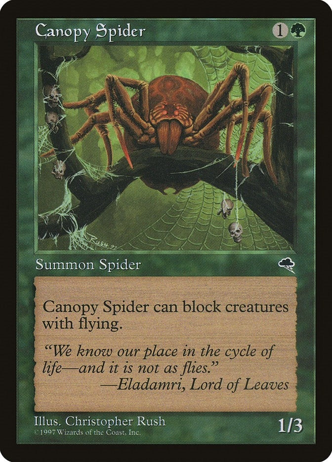 Image for Canopy Spider (217) - Magic: The Gathering