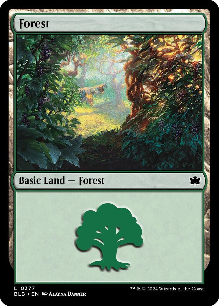 Image for Forest (0377) (377) - Magic: The Gathering