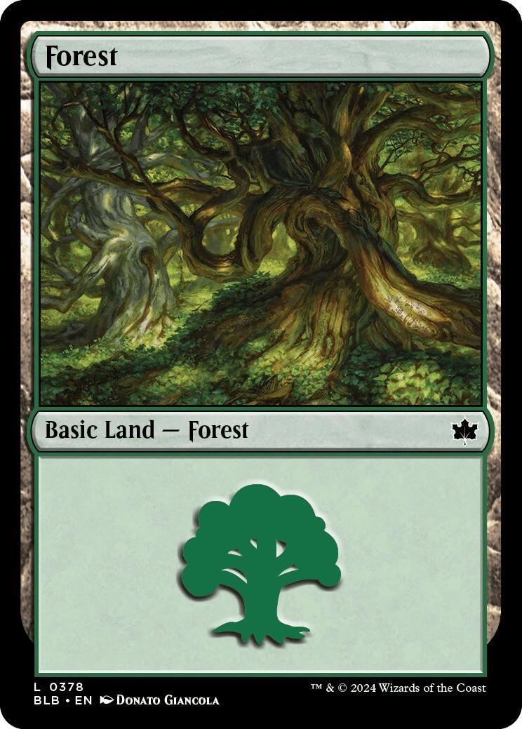 Image for Forest (0378) (378) - Magic: The Gathering