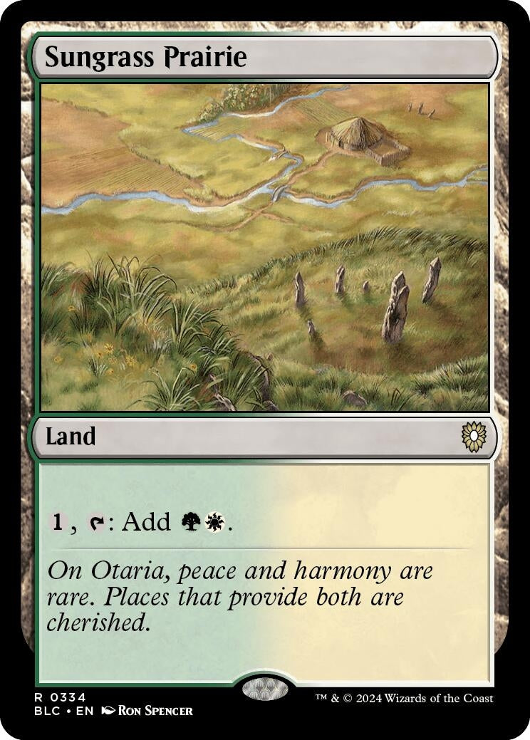 Image for Sungrass Prairie (334) - Magic: The Gathering