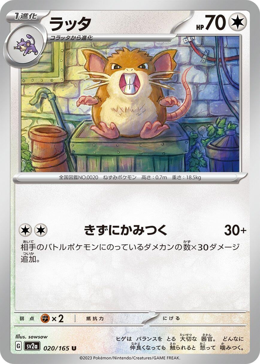 Image for Raticate (020/165) - Pokemon Japan
