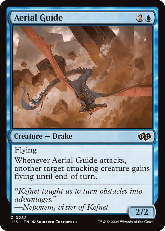 Aerial Guide (282)