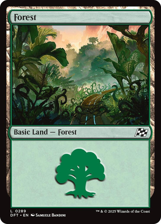 Image for Forest (0289) (289) - Magic: The Gathering