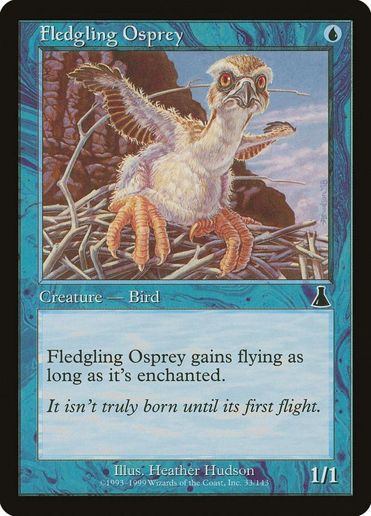 Image for Fledgling Osprey (33) - Magic: The Gathering