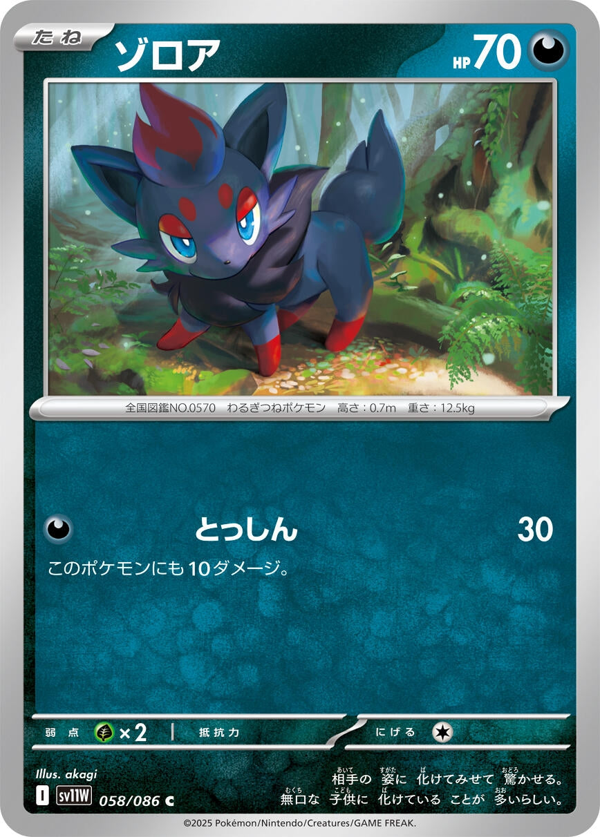 Image for Zorua (058/086) - Pokemon Japan
