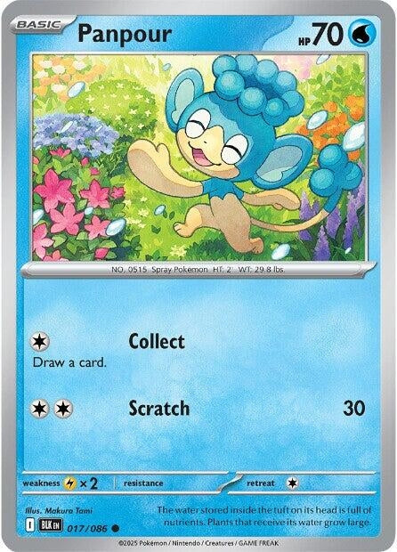 Image for Panpour (017/086) - Pokemon