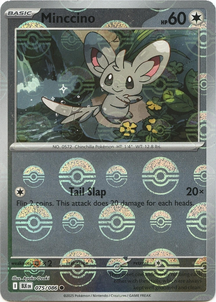 Image for Minccino (Poke Ball Pattern) (075/086) - Pokemon